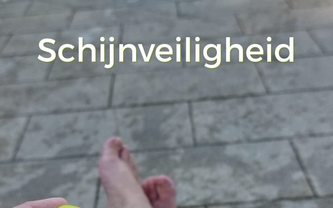 foto schijnveiligheid voor je website